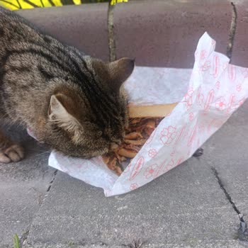 Kras Döner'den Çorba Ve Döner Kalitesiz, Müşteri Hizmetleri İlgisiz