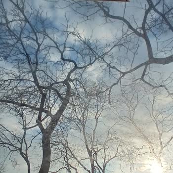 İETT 16 Numara Otobüsünde 20 Dakika Bekleme Ve Sürekli Gecikme