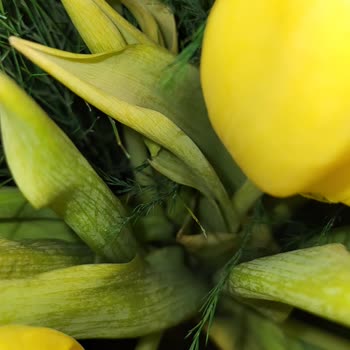 Solmuş Çiçek Teslimatı İçin Taze Yeniden Gönderim Talebi