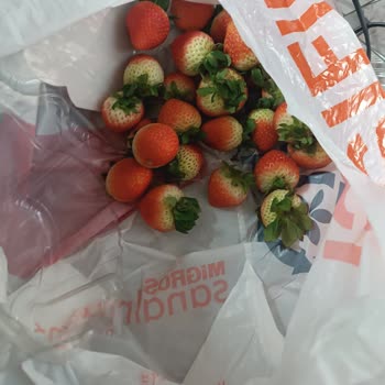 Görseldeki Parlak Çilekler Yerine Ham Ve Kalitesiz Çilekler, Gecikmeli Teslimat