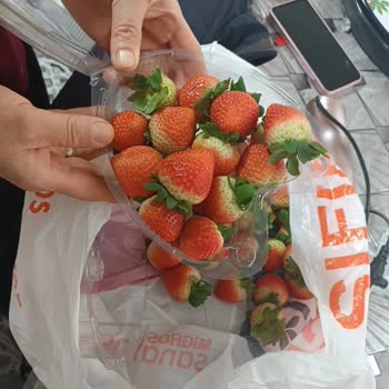 Görseldeki Parlak Çilekler Yerine Ham Ve Kalitesiz Çilekler, Gecikmeli Teslimat