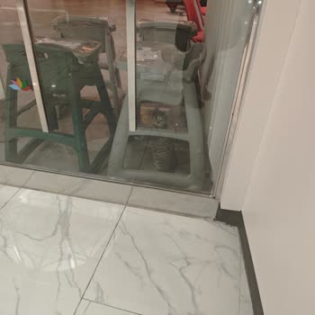 Sueno Golf Otel'de Her Yerde Kedi Var!