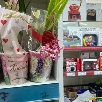 A101 Bahçelievler Şubesinde Çiçeklerin Klima Altında Kuruyup Ölmesi