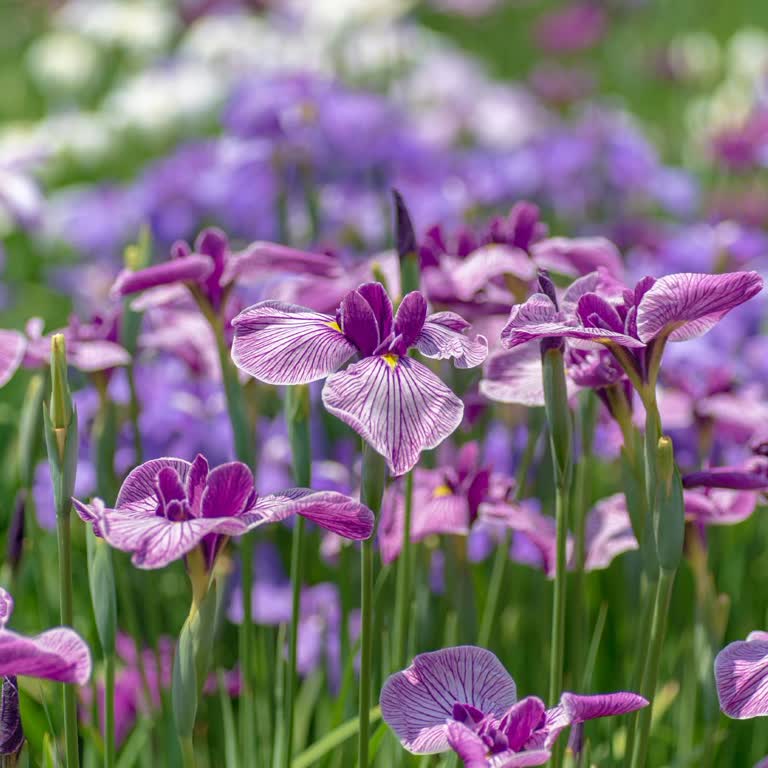 Depremzede Öğrencinin Aşırı Faizli Öğrenim Kredisi Ve Haciz Talebi
