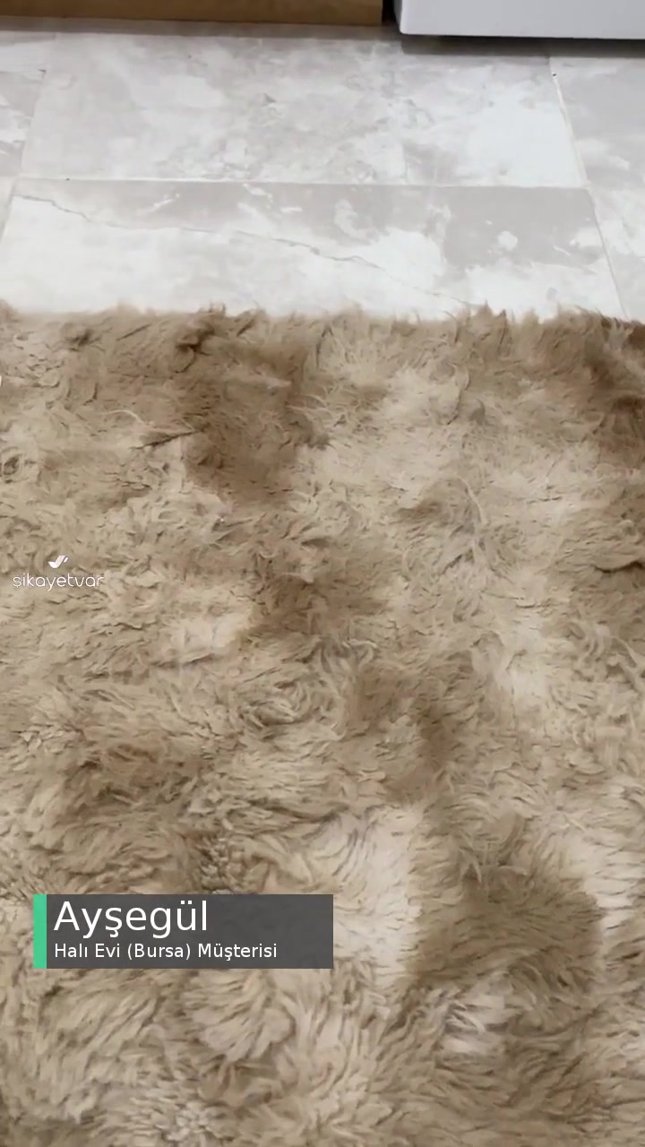 Halı Evi (Bursa) Halı Keçeleşmesi Ve Tüy Dökümü! videonun kapak resmi