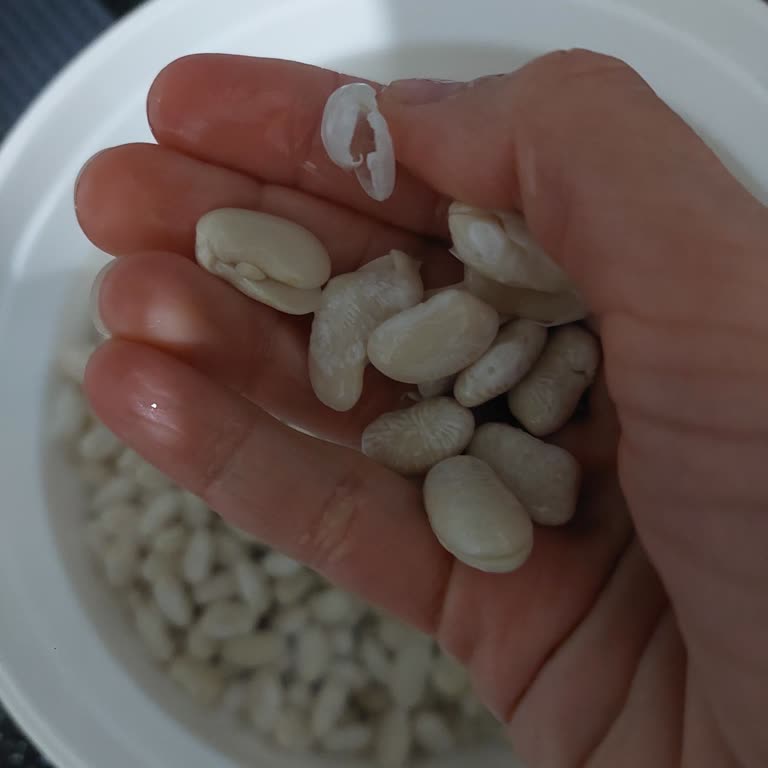 Kuru Fasulyeler 10 Dakikada İkiye Bölündü, Kalite Ve Tazelik Sorunu