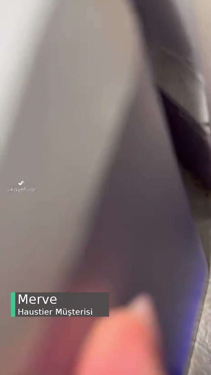 Haustier Su Şelalesi Su Sızdırma Sorunu videonun kapak resmi