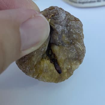 Migros Hemen Siparişindeki İncir Kurusunda Kurt Bulunması Ve İade Talebi