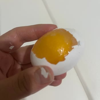 Profilo Buzdolabımın Tekrarlayan Soğutma Arızası Ve Değişim Talebi