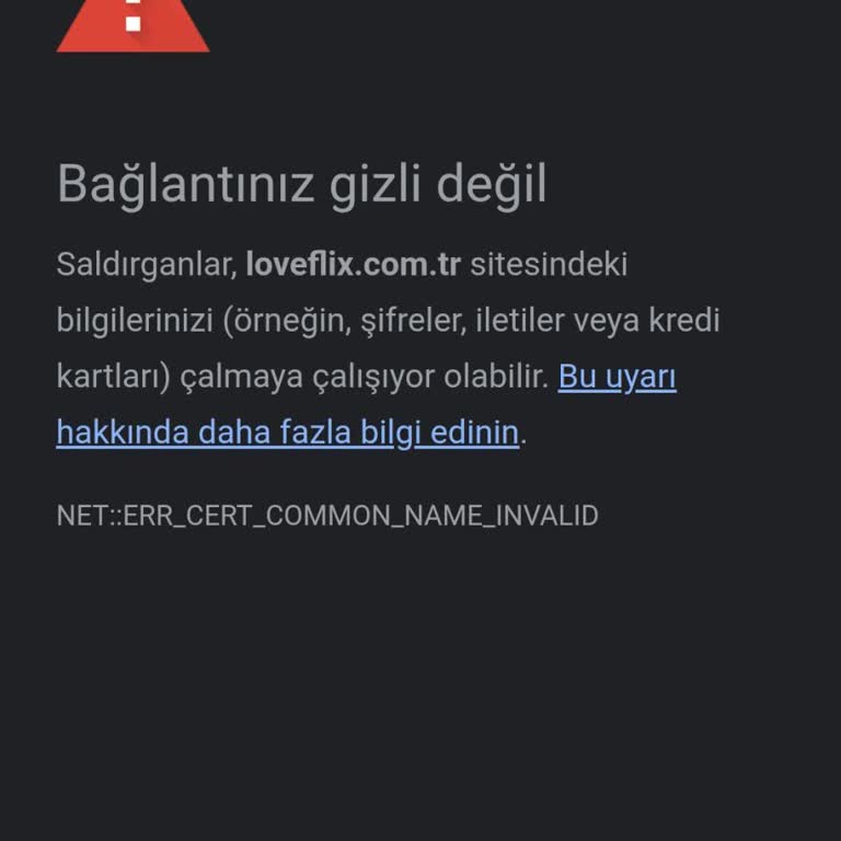 Loveflix Mesajlarım Karşı Tarafa Ulaşmıyor