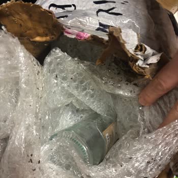 Orhangazi Zeytin Para İadesi Yapmadı!