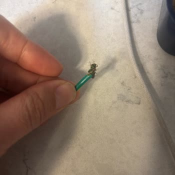 A101 Şubesindeki Nimet Ispanaklı Rulo Börekte Plastik Kablo Parçası Çocuğun Boğazına Takıldı