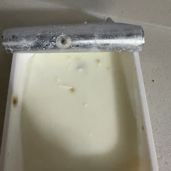 Yörsan Bozuk Peynir Ve Hediye Yanıltması İade Talebi