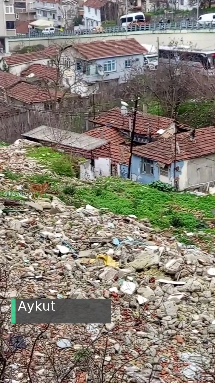 Gaziosmanpaşa Belediyesi Başıboş Köpekler videonun kapak resmi