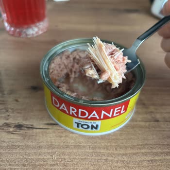 Dardanel Ton Balığında Aşırı Kılçık Ve Yabancı Kirletici Parçalar
