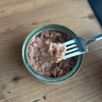 Dardanel Ton Balığında Aşırı Kılçık Ve Yabancı Kirletici Parçalar