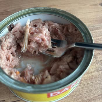 Dardanel Ton Balığında Aşırı Kılçık Ve Yabancı Kirletici Parçalar