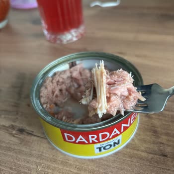 Dardanel Ton Balığında Aşırı Kılçık Ve Yabancı Kirletici Parçalar