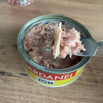 Dardanel Ton Balığında Aşırı Kılçık Ve Yabancı Kirletici Parçalar