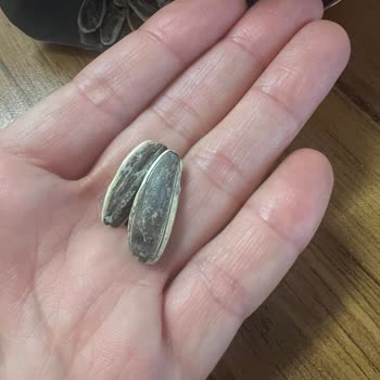 Klasik Çekirdek Etiketi Yanıltıcı: Tuzlu Ürün Beklentiyi Boşa Çıktı