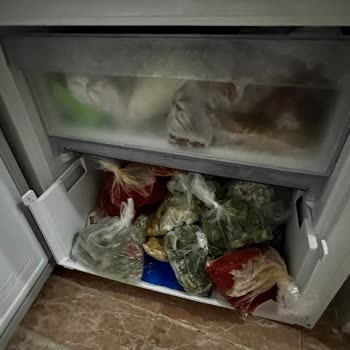 Beko Buzluk Çekmecesi Kendi Kendine Kırıldı Ücretsiz Parça Değişimi Talebi