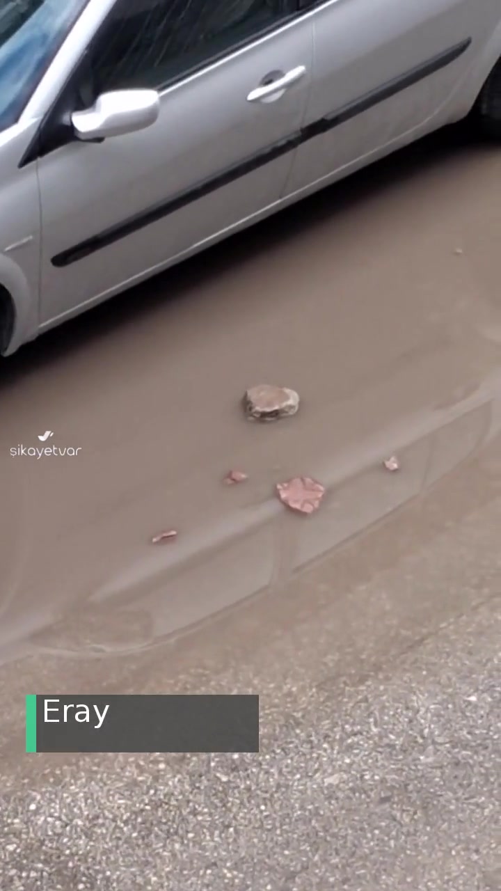 Odunpazarı Belediyesi Gider Olmaması Problemi videonun kapak resmi