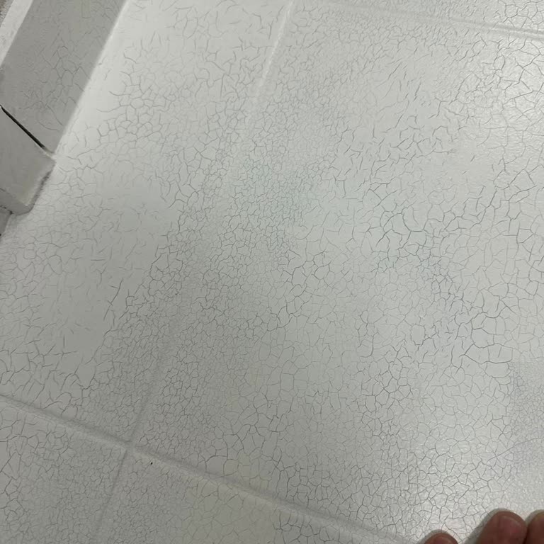 Filli Boya Boyasında Pul Pul Olması Ve Şirketin Sorumluluk Reddi