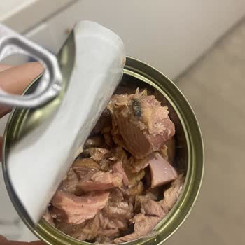 Fide Ton Balığı Şikayeti