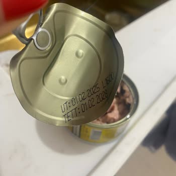 Fide Ton Balığı Şikayeti