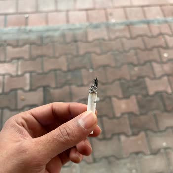 Parliament Night Blue Sigara İçinde Dal Parçası: Sağlık Riski Ve Güven Kaybı
