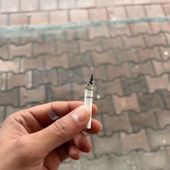 Parliament Night Blue Sigara İçinde Dal Parçası: Sağlık Riski Ve Güven Kaybı