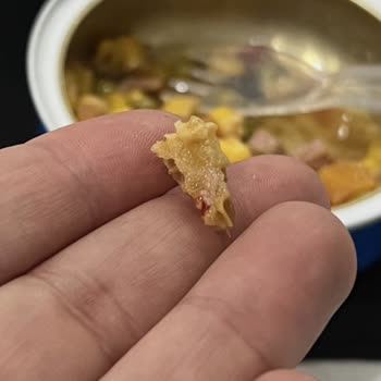 Dardanel Ton Konserve'de Mısır Koçanı Parçası Bulundu