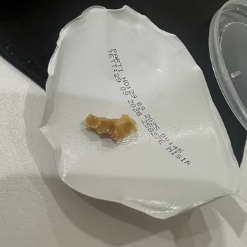 Dardanel Ton Konserve'de Mısır Koçanı Parçası Bulundu