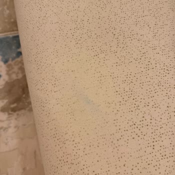 Garanti Kapsamındaki Koltukta Kumaş Lekesi Tüylenme Ve Renk Bozulması Servis Reddedildi