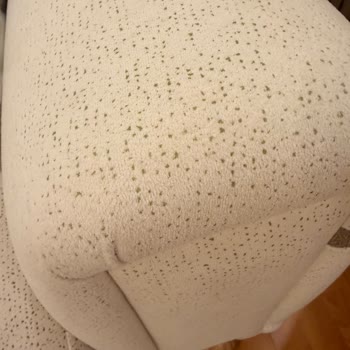 Garanti Kapsamındaki Koltukta Kumaş Lekesi Tüylenme Ve Renk Bozulması Servis Reddedildi