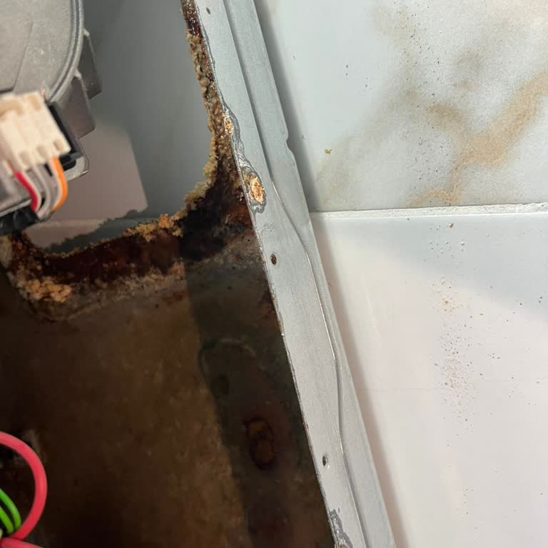 Arçelik Çamaşır Makinesi Sürekli Arızalı Ve Servis Sorunu Çözülmedi