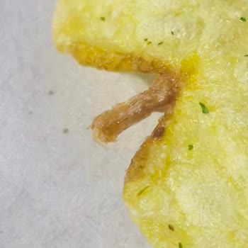 Cips Ve Yoğurt İçinde Dal: Hijyen İhlali Ve Ücret İadesi Talebi