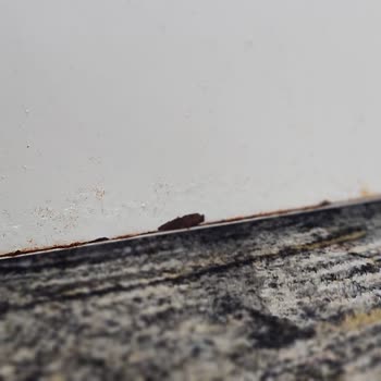 Bosch Refrigerator Chronic Defect - No Fix At Services