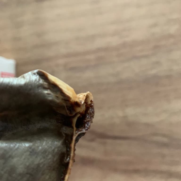 Cook Filtre Kahve Kağıdında Sürekli Patlama Ve Kalite Sorunu