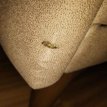 Defolu Mobilya Ürünleri Ve Haksız Faiz İadesi Talebi