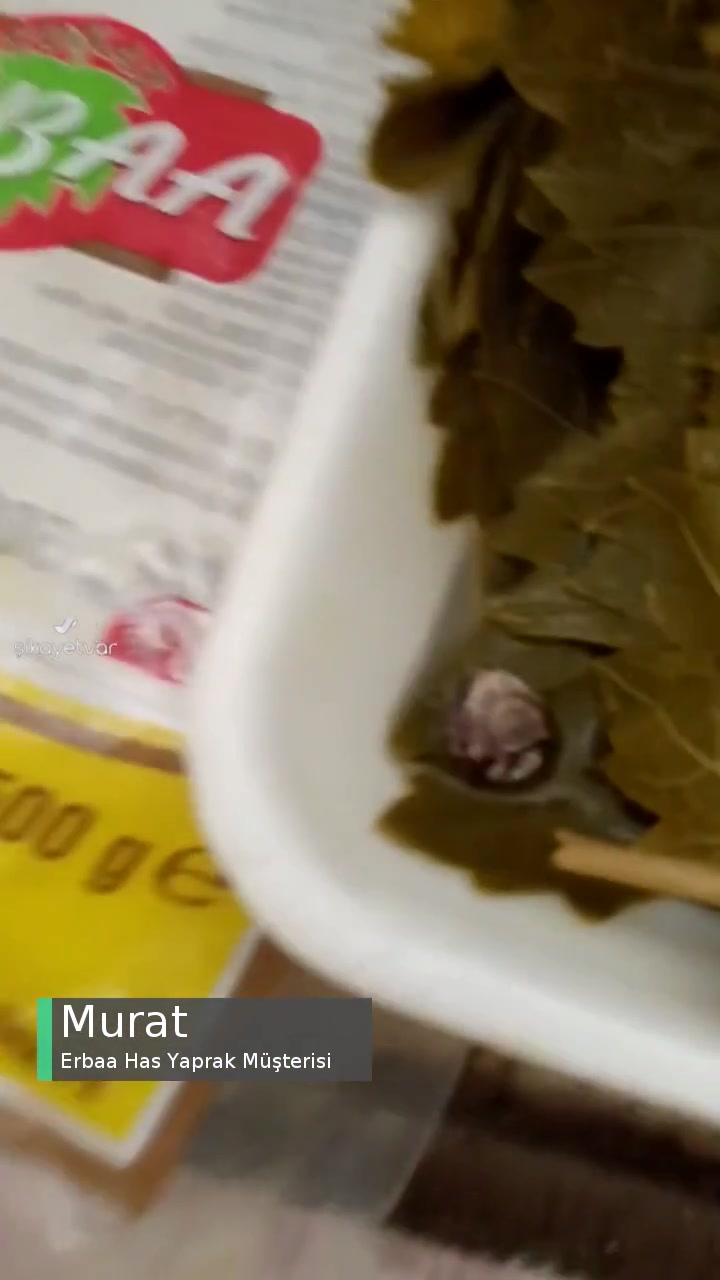 Erbaa Has Yaprak Paketli Gıda İçerisinde Salyangoz Benzeri Canlı! videonun kapak resmi