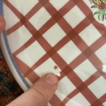 İç Porselen Kısmında Atık Bulunan Tabağın Ücretsiz Yenisi Gönderilsin