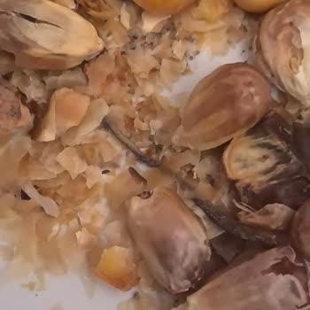 Amigo Mısır Kavurmasında Tahta Parçası Ve Çürük Mısır Bulunması