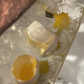 Yemeksepeti Market Kırık Yumurtalar Ve Çözüm Sunmayan Canlı Destek!