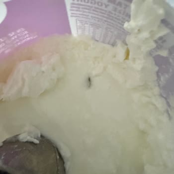 Migros'tan Yoğurdun İçinde Yabancı Madde