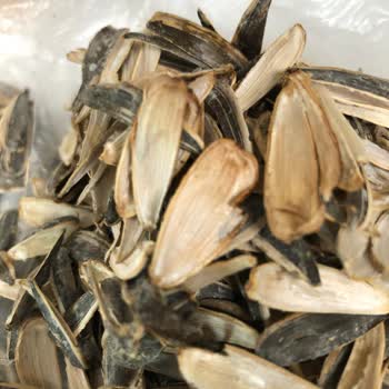 Tadım Bol Tuzlu Çekirdeklerin Renginin Yanık Gibi Koyu Olması Ve Kötü Tadı