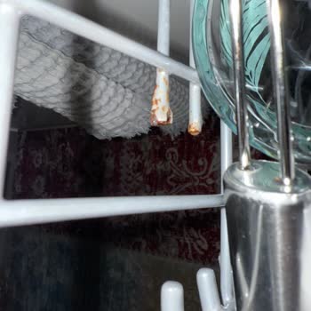 Arçelik Bulaşık Makinesi Sepet Paslanması Nedeniyle Ücretsiz Değişim İsteği