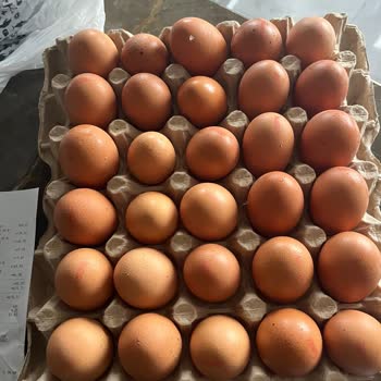 L Boy Yumurta Kolisindeki Küçük Yumurtalar Tüketiciyi Yanıltıyor