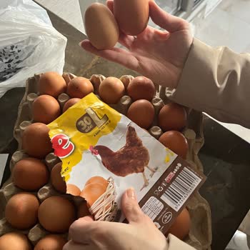 L Boy Yumurta Kolisindeki Küçük Yumurtalar Tüketiciyi Yanıltıyor