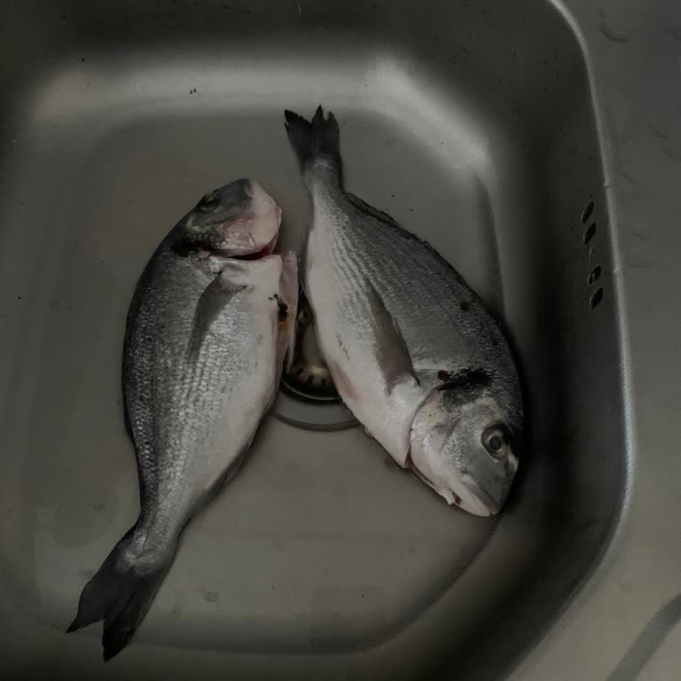 Eksik Çipura Balığı Teslim Edildi, Müşteri Hizmetlerinden Yanıt Gelmedi